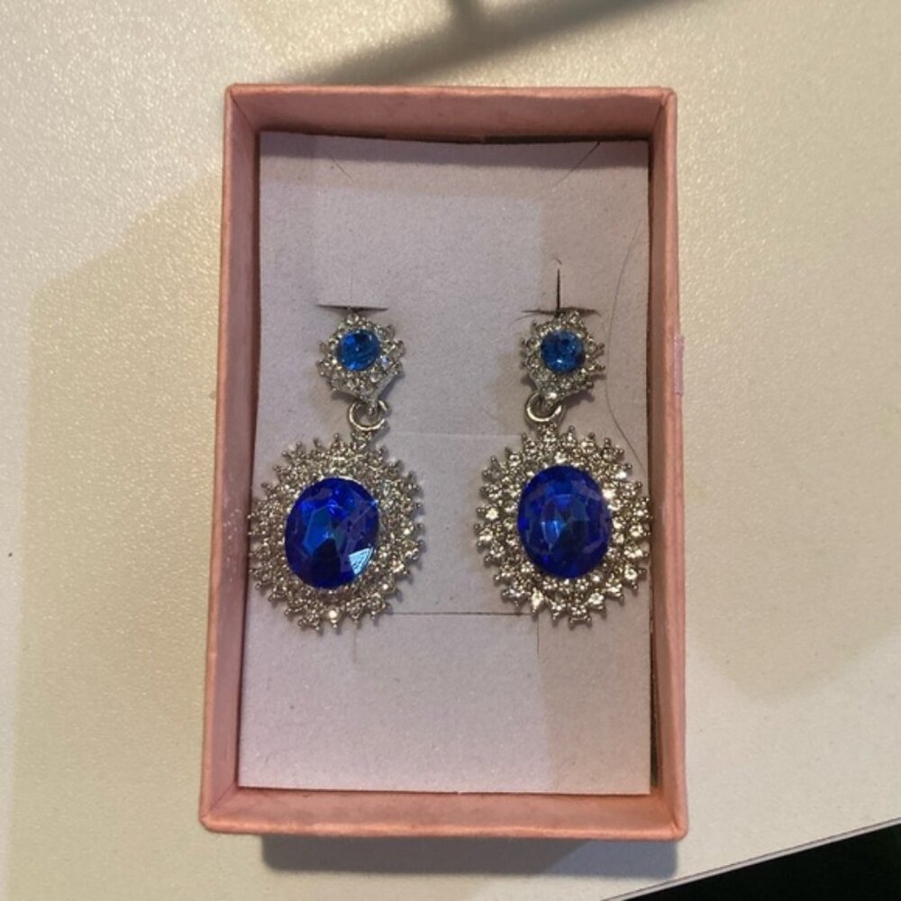 Elegant Blue and Silver Drop Earrings